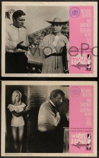 6c568 NIGHT OF THE IGUANA 7 LCs '64 Richard Burton, Ava Gardner, Sue Lyon, Deborah Kerr, Huston!