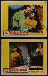 6c743 RESTLESS BREED 4 LCs '57 cool images of cowboy Scott Brady & sexy young Anne Bancroft!