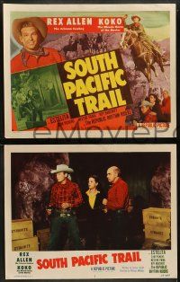 6c441 SOUTH PACIFIC TRAIL 8 LCs '52 cool images of Arizona cowboy Rex Allen & his horse Koko!