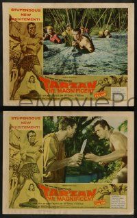 6c475 TARZAN THE MAGNIFICENT 8 LCs '61 Gordon Scott in the title role, with Jock Mahoney!