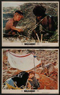 6c515 WALKABOUT 8 LCs '71 Jenny Agutter in the Outback w/David Gulpilil, Nicolas Roeg classic!