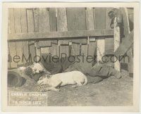6d006 DOG'S LIFE 8x10 LC '18 close up of Charlie Chaplin laying on ground with dog by fence!