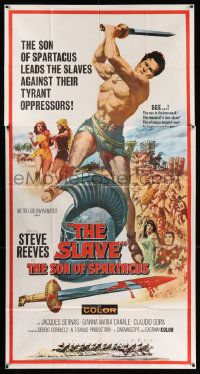 6f155 SLAVE 3sh '63 Il Figlio di Spartacus, art of Steve Reeves as the son of Spartacus!