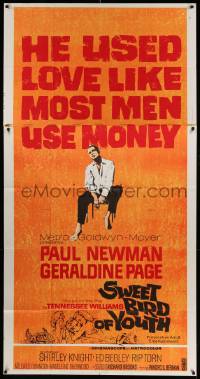 6f167 SWEET BIRD OF YOUTH 3sh '62 Paul Newman used love like most men use money, Tennessee Williams