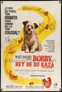 6f799 GREYFRIARS BOBBY Argentinean '61 Walt Disney, great art of cute tiny Skye Terrier!