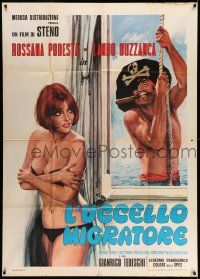 6f427 L'UCCELLO MIGRATORE Italian 1p '72 art of sexy near-naked Rossana Podesta & pirate Buzzanca!