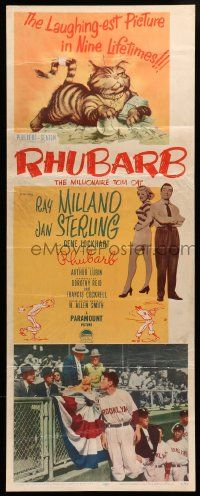 6g399 RHUBARB insert '51 New York baseball team owned by cat, Jan Sterling!