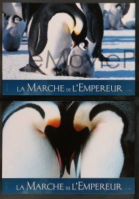 6k648 MARCH OF THE PENGUINS 6 French LCs '05 great images of Antarctica!