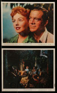 6m532 DUEL IN THE JUNGLE 8 color 8x10 stills '54 Dana Andrews & sexy Jeanne Crain in Africa!