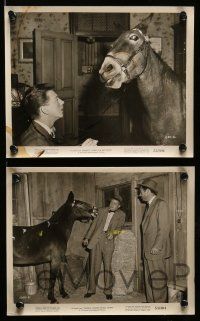 6m621 FRANCIS COVERS THE BIG TOWN 16 8x10 stills '53 images of Donald O'Connor & the talking mule!
