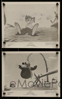 6m876 SONG OF THE SOUTH 5 8x10 stills R56 Walt Disney, Uncle Remus, Br'er Rabbit & Br'er Bear!