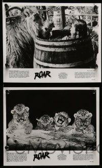 6m030 ROAR presskit w/ 20 stills '81 Melanie Griffith, Tippi Hedren, lions, big cats, rare!