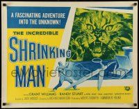 6p219 INCREDIBLE SHRINKING MAN 1/2sh R64 Jack Arnold, classic sci-fi art of tiny man & giant cat!