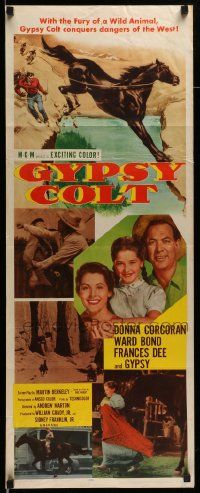 6p637 GYPSY COLT insert '54 Ward Bond, Frances Dee, young Donna Corcoran & wild stallion!