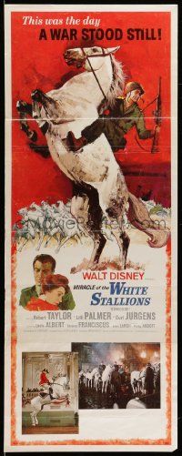 6p754 MIRACLE OF THE WHITE STALLIONS insert '63 Disney, Lipizzaner stallions art, Robert Taylor!