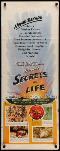 6p884 SECRETS OF LIFE insert '56 Disney's most amazing & miraculous True Life Adventure feature!