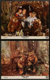 6z100 CARAVAN OF COURAGE 8 color 11x14 stills '84 An Ewok Adventure, Star Wars, Eric Walker!