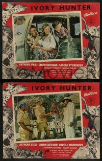 6z719 IVORY HUNTER 5 English LCs '52 Ealing Studios, many images of African jungle animals!