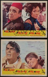 6z035 AFTER THE FOX 8 LCs '66 De Sica's Caccia alla Volpe, Peter Sellers, Victor Mature!