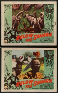 6z057 BELOW THE SAHARA 8 LCs '53 great giant African ape border art stolen from Mighty Joe Young!