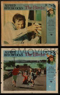 6z847 BIRDS 3 LCs '63 Alfred Hitchcock, Rod Taylor, classic horror images and border art!