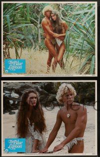 6z073 BLUE LAGOON 8 LCs '80 sexy young Brooke Shields & Christopher Atkins!