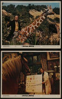 6z174 DOCTOR DOLITTLE 8 LCs R69 Rex Harrison speaks with animals, directed by Richard Fleischer!