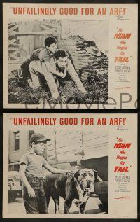 6z798 MAN WHO WAGGED HIS TAIL 4 LCs '57 Un Angelo e scesco a Brooklyn, Peter Ustinov