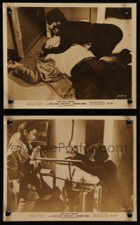 7a998 WASP WOMAN 2 8x10 stills '59 both with wacky horror images of Susan Cabot, Fred Eisley!