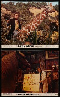 7a514 DOCTOR DOLITTLE 8 color 8x10 stills R69 Samantha Eggar, Rex Harrison speaks with animals!