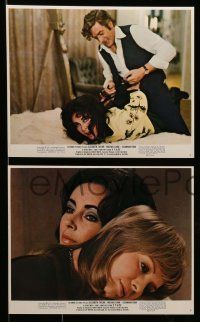 7a541 X Y & ZEE 7 color 8x10 stills '71 Elizabeth Taylor, Michael Caine, Susannah York!