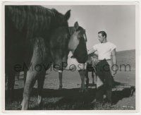 7d641 MEN candid 8.25x10 still '50 young Marlon Brando standing with horses in field!