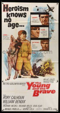7f574 YOUNG & THE BRAVE 3sh '63 Rory Calhoun, William Bendix, art of heroic boy & German Shepherd!