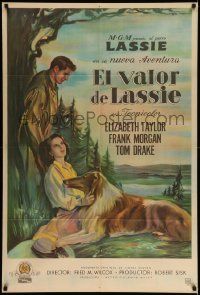 7f688 COURAGE OF LASSIE Argentinean '46 art of Elizabeth Taylor sitting with famous canine!