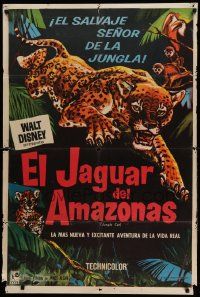 7f798 JUNGLE CAT Argentinean '60 Disney, great artwork of jaguar, savage lord of the Amazon!