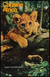 7g029 CARAVAN AFRICA 24x37 travel poster '84 wonderful image of lion cub hanging on tree branch!