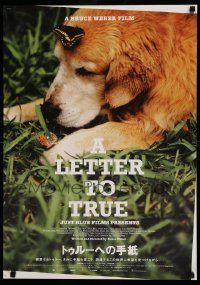7j963 LETTER TO TRUE Japanese '05 Weber directed, great image of dog in grass with butterflies!
