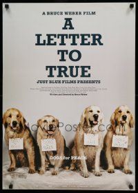 7j962 LETTER TO TRUE Japanese '05 Bruce Weber directed, great image of dogs pack!