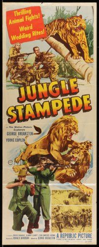7k578 JUNGLE STAMPEDE insert '50 cool artwork of wild jungle animals, lion fight!