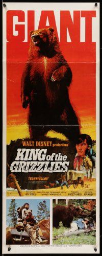 7k593 KING OF THE GRIZZLIES insert '70 Walt Disney, great artwork of giant bear!