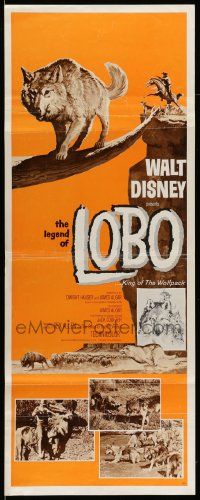 7k617 LEGEND OF LOBO insert '63 Walt Disney, King of the Wolfpack, cool art of wolf being hunted!