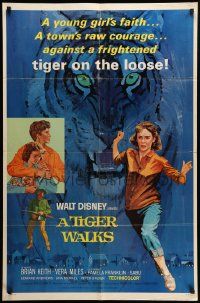 7p897 TIGER WALKS style B 1sh '64 Disney, Brian keith, Vera Miles, great tiger artwork!