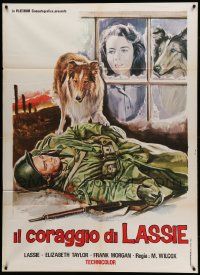 7y772 COURAGE OF LASSIE Italian 1p R60s art of Elizabeth Taylor & famous dog by fallen soldier!