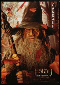 8b138 HOBBIT: AN UNEXPECTED JOURNEY teaser DS German '12 close-up Ian McKellen as Gandalf!