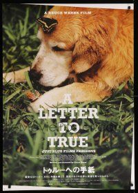 8b867 LETTER TO TRUE Japanese 29x41 '05 Weber directed, image of dog in grass with butterflies!