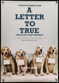 8b866 LETTER TO TRUE Japanese 29x41 '05 Bruce Weber directed, great image of dog pack!