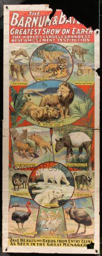 8c005 BARNUM & BAILEY GREATEST SHOW ON EARTH 30x78 circus poster 1901 best art of wild animals!