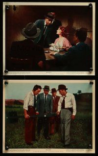 8d178 DRAGNET 2 color 8x10 stills '54 great images of Jack Webb as detective Joe Friday!