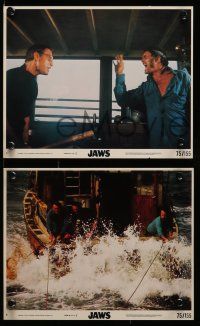 8d146 JAWS 5 8x10 mini LCs '75 Roy Scheider, Robert Shaw & Richard Dreyfuss, Gary, big shark!
