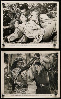 8d371 JUNGLE MAN-EATERS 12 8x10 stills '54 Johnny Weissmuller fighting cannibals, w/ Karin Booth!